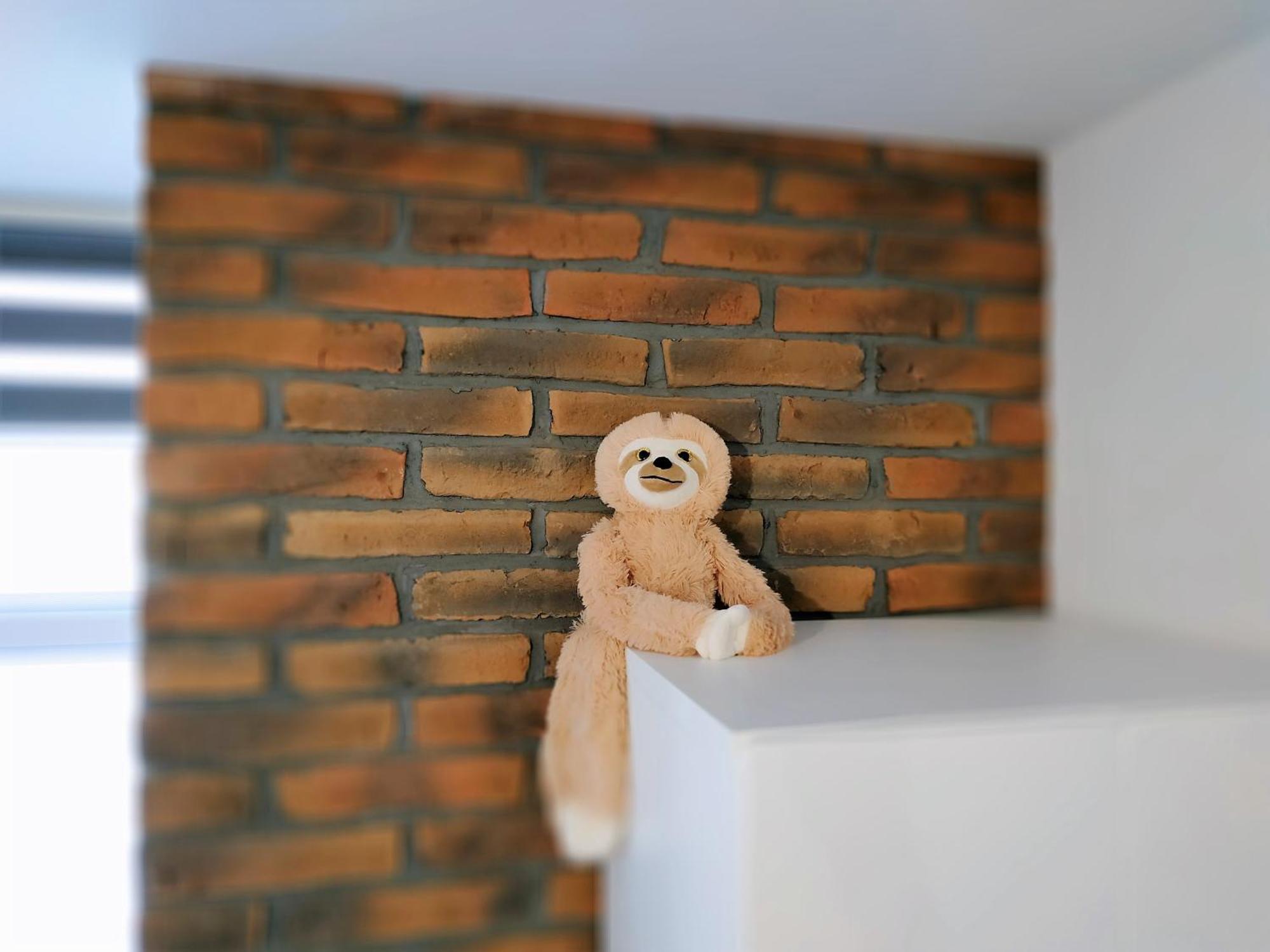 Theapartments Radwanska Łódź Habitación foto